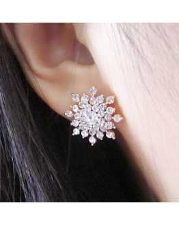 Hot Snow Flake Lovely Earrings