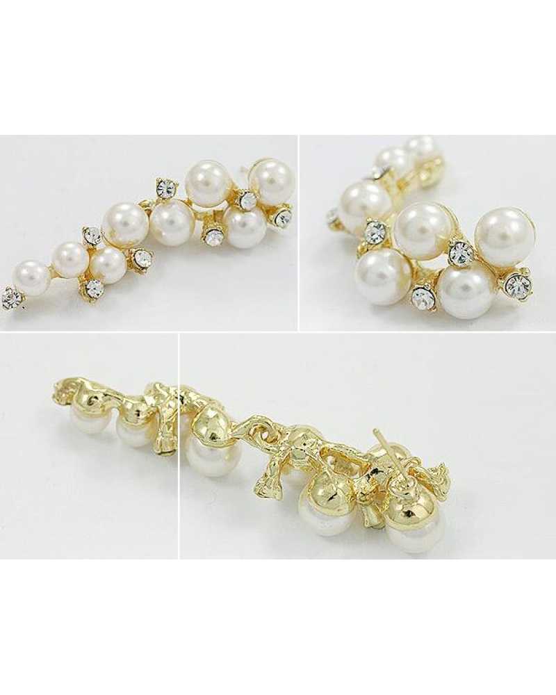 Hot Pearl and Crystal Exotic Earrings